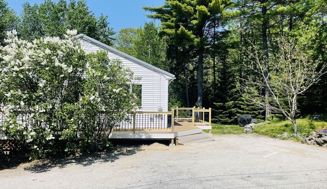 Seastone - Pine Forest Cottage 4.5 miles from Acadia, 7 to downtown Bar Harbor