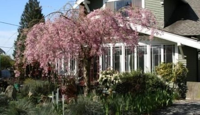 Seattle at its Best - the Premiere Walking Neighborhood!