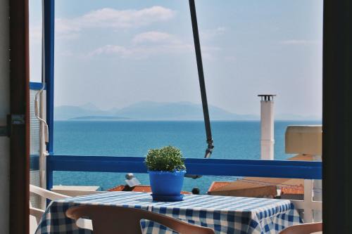 Seaview- 2 Space - selfcatering Apartment - Helen No 3