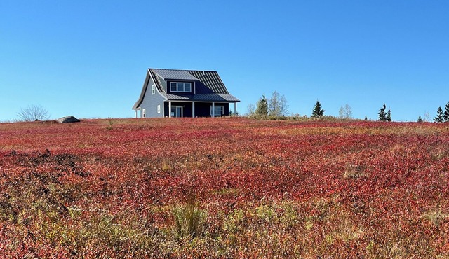 Secluded blueberry field retreat with sweeping 360 views.