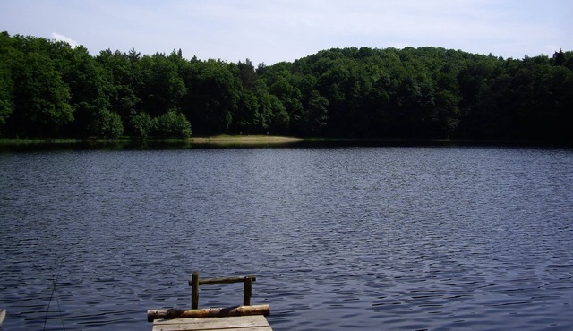 Secluded bungalow on Lake Thursee - nature, starry skies & privacy
