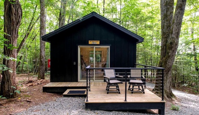 Secluded Forest Paradise: Cozy Cabin on 150 Acres in Transylvania County, NC