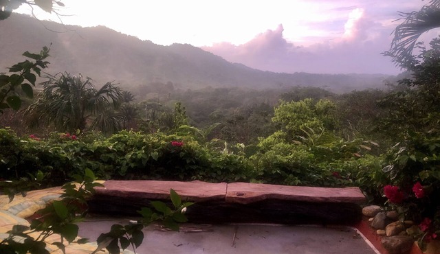 Secluded Forest mountain cabana with magnificent view