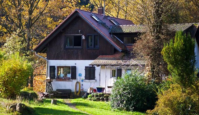 Secluded house for nature lovers with lots of forest in the middle of the Odenwald.