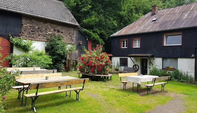 Secluded location in the forest! Renovated farmhouse, family and pet friendly