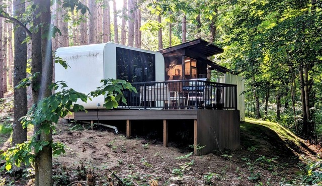 Secluded Modern Tiny House with Wood-Fired Hot Tub Near Trails in Sears, Michigan