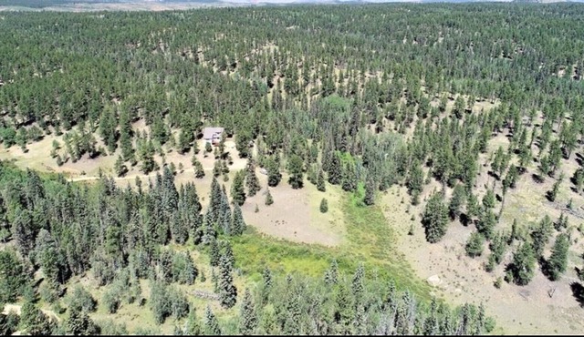 Secluded National Forest Home with Hot tub & Game Room