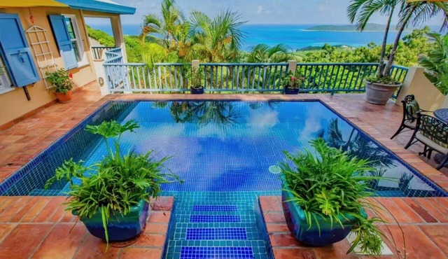 Secluded Pool Villa on East End with Magnificent Sea Views and Lush Vegetation!