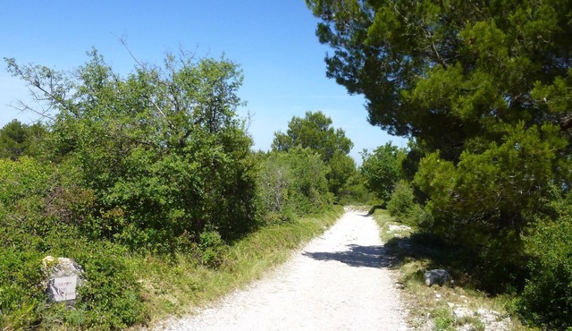 Secluded property, views 100 Km, 4-acre park, 17m long pool
