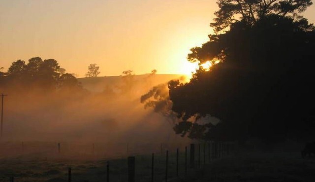 SECLUDED, QUIET, PRIVATE "FERNDALE" B&B Farm Stay 5mins to BUNDANOON or EXETER