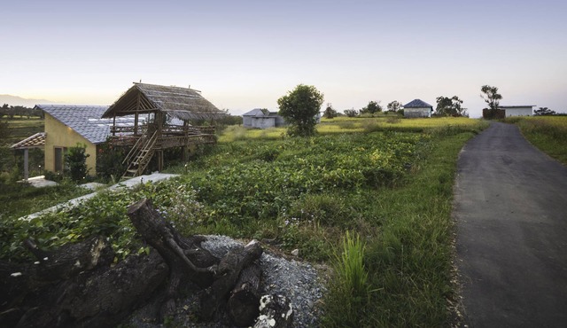 Secluded Red Cedar Cottage, Palampur