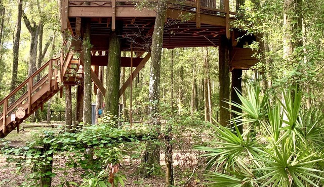 Secluded Treehouse Cabin Retreat near the Suwannee River and freshwater springs!