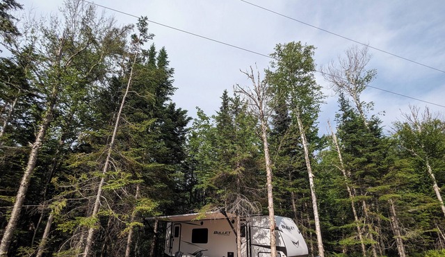 Secluded, well equipped 'offgrid' RV w/ outdoor space, trails. Pet friendly