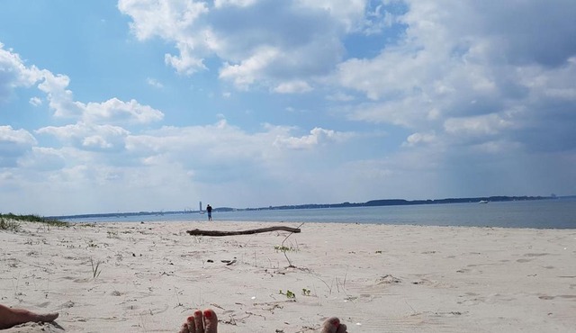 Seesternchen