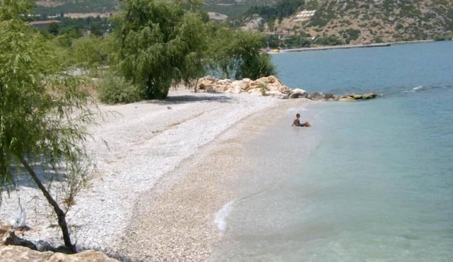 Sehsuvar Peace Pension