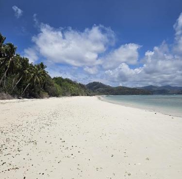SELAYAR TURTLE BAY