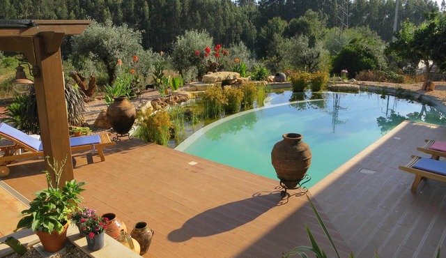 Self-catering apartment in rural location with gorgeous biological swimming pool