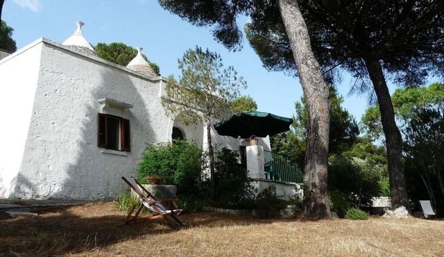 Selva Di Fasano: 'Trullo' with pine grove in Valle d'Itria