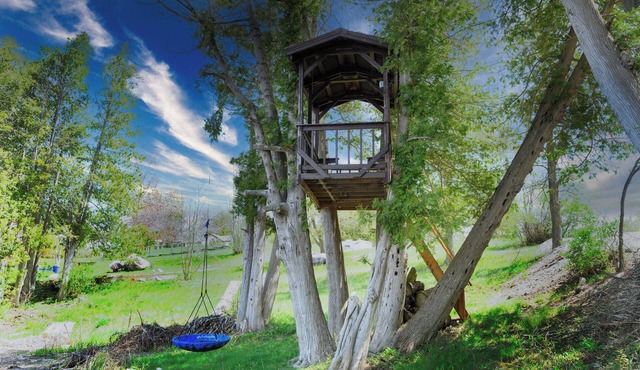 Selwyn Lakefront Retreat Kayaks|Firepit|Treehouse