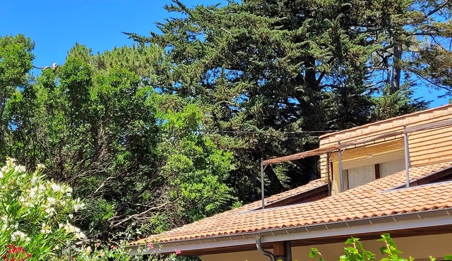 Semi-detached house ideally situated on the banks of the Courant