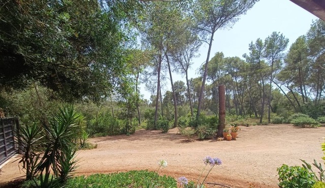 Sencelles House