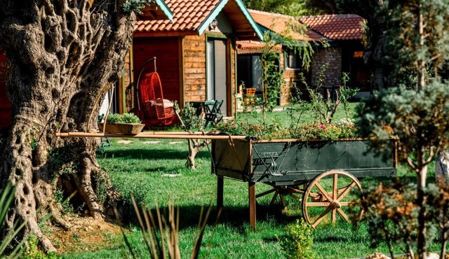 SERENDER BUNGALOV