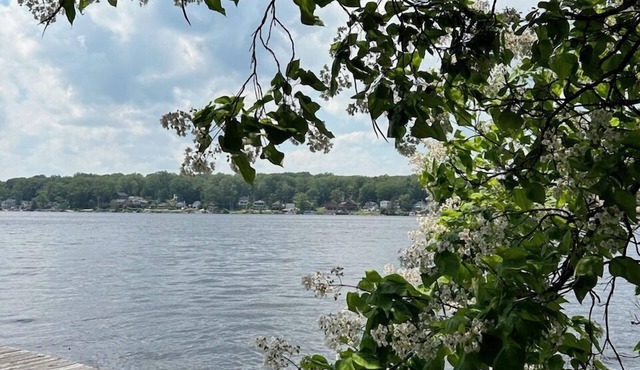 Serendipity on Highland Lake