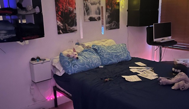 Serene apartment with WiFi in vibrant Brooklyn