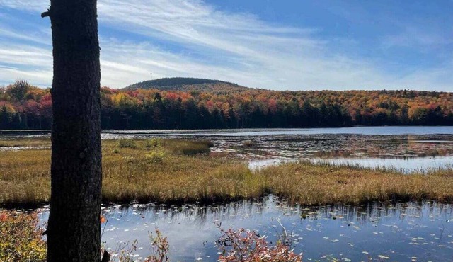 Serene Pondside Cottage w/Private Island Camping!
