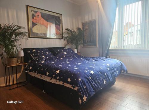 Serenity Big Room