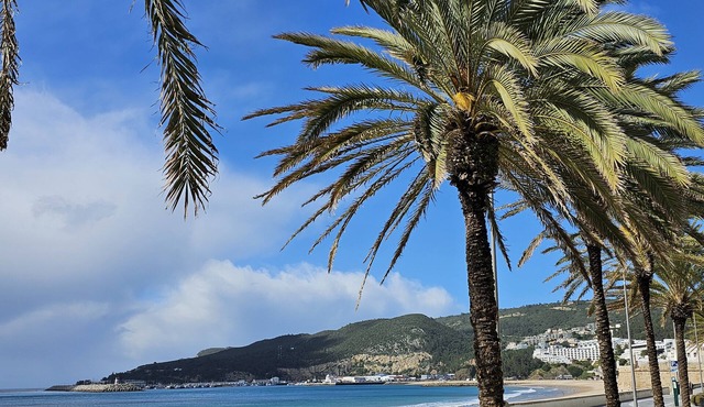 Sesimbra, Villa Luxueuse, Vue Superbe sur Océan, Port, Plage, 6/7 Voyageurs
