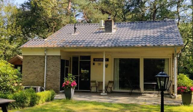 Sfeervol boshuis met jacuzzi en veel privacy.