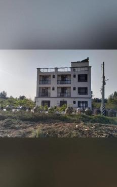 Shanhai B&B