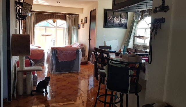 Shared Room for travelers in Exchange to study in Unam