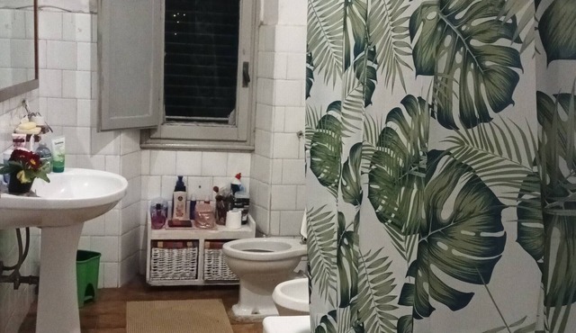 Shared Apartment