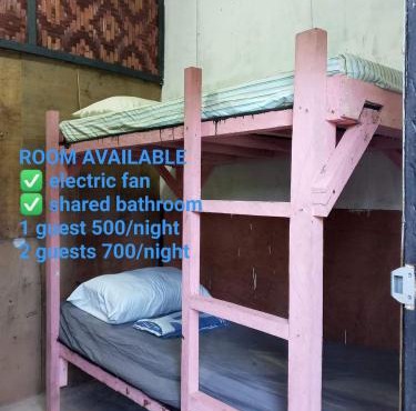 sharkbunkbed siargao