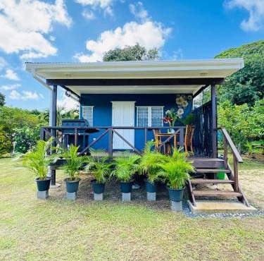 Sharnytas Studio AIR CONDITIONED