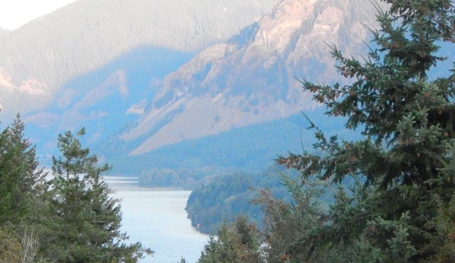 Shellrock Cabin with Columbia River View