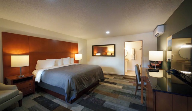 Shelton Inn