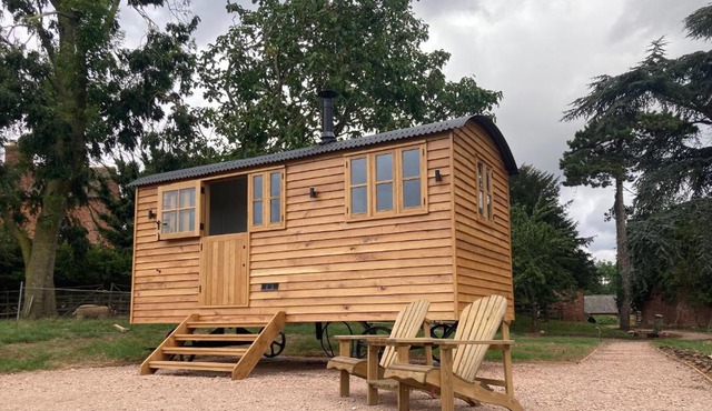 Shepherd’s Hut - The Mule