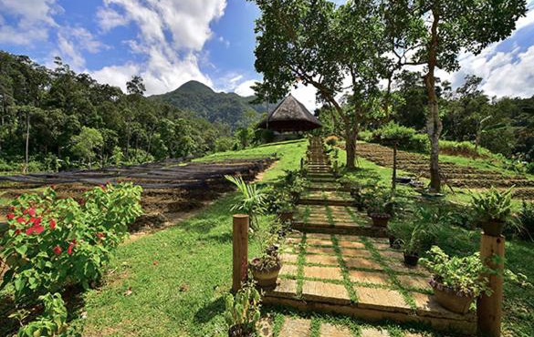 Sheridan Organic Farm and Resort