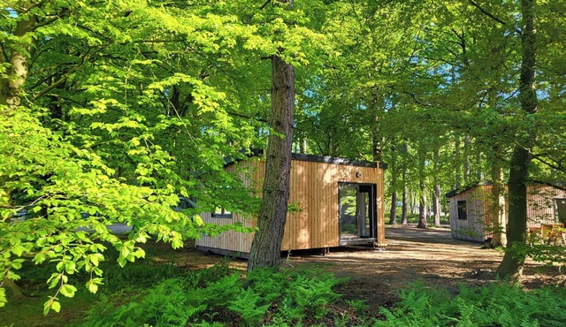 SHERWOOD PINES - DELUXE POD 2, romantic, with open fire in Edwinstowe
