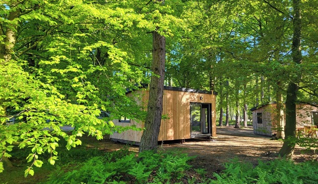 SHERWOOD PINES - DELUXE POD 3, romantic, with open fire in Edwinstowe