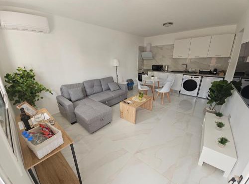 Shiamis Modern House