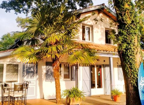 Shifting Sands Surf House