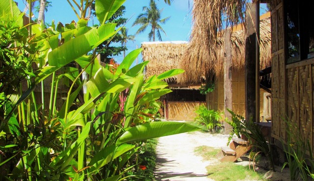 Siargao Tropic Hostel