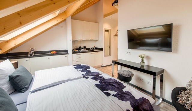 "Silber-Mops" - 5* design apartment for connoisseurs - + use of garden + parking space