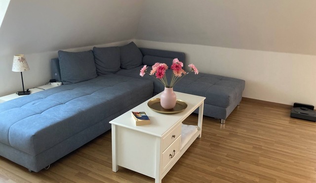 Silberschatz vacation apartment in the heart of Freiberg's old town