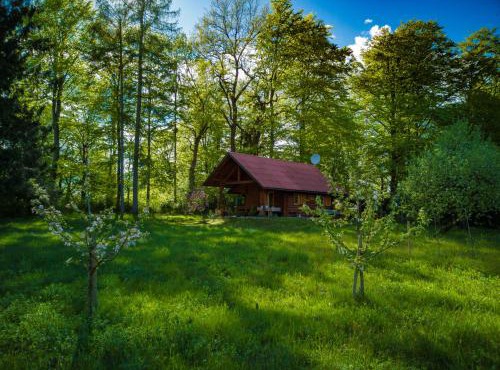 Silent Orchard