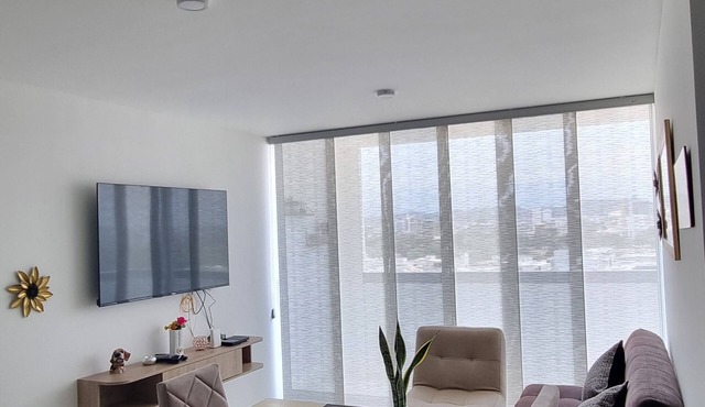 SILVER PARK APT